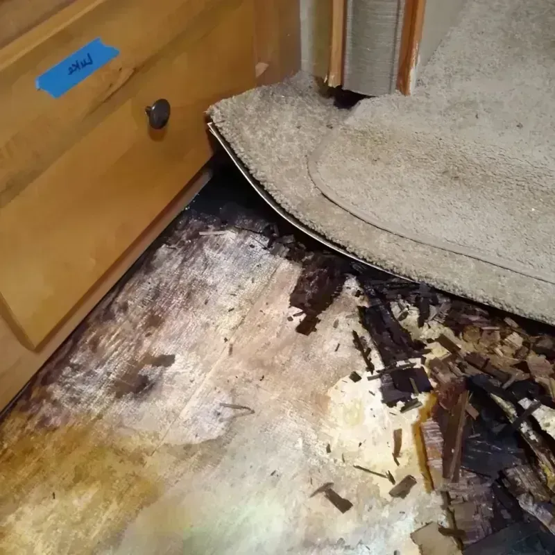 Best Wood Floor Water Damage Service in La Homa, TX